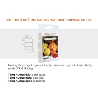 Sáp thơm Candle Warmer - Tropical Citrus