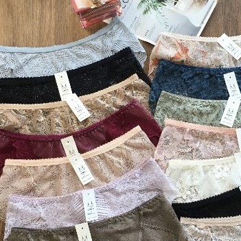 Quần Lót Nữ Ren Sexy Thiết Kế Họa Tiết Ren Xuyên Thấu Siêu Gợi Cảm Quyến Rũ Dành Cho Bạn Nữ