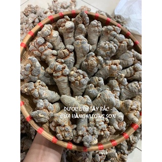 CỦ TAM THẤT BẮC RỪNG LOẠI ĐẶC BIỆT - DƯỢC LIỆU TÂY BẮC - HÀNG CHUẨN CAM KẾT 100%  - HÀNG BIẾU TẶNG CAO CẤP