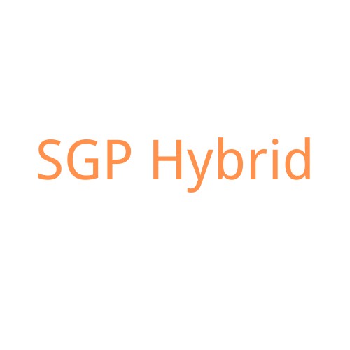 SGP Hybrid.vn