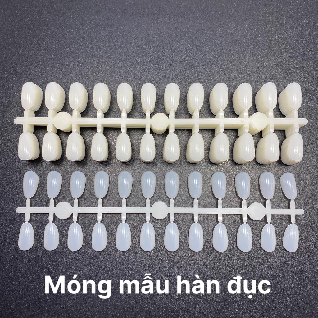 Bịch 240 Móng Mẫu Hàn Quốc Hai Màu