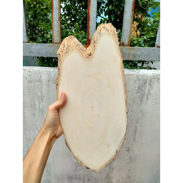 Lát gỗ trơn dài 35-40cm