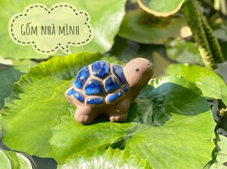Rùa men nhí