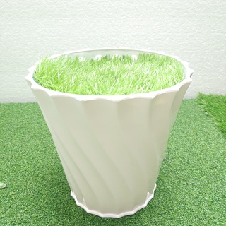 Chậu nhựa trồng cây - Cây giả, cây decor - chậu cây giả decor