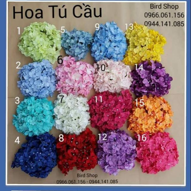 Hoa làm váy tutu
