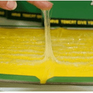 Keo dán chuột (lốc 20 miếng)