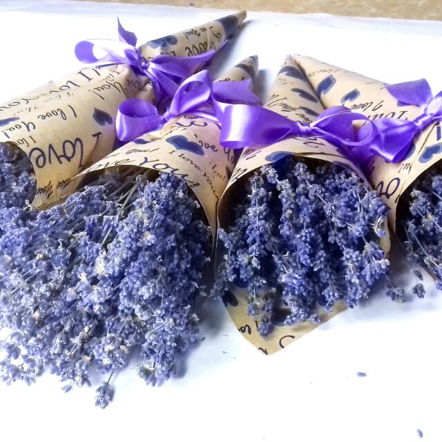 combo hoa oải hương và hoa snowy