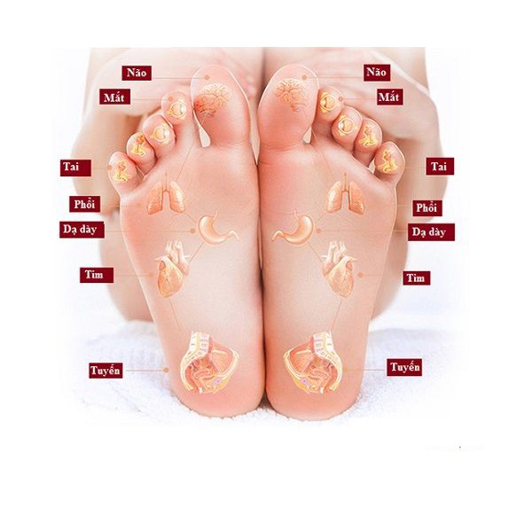 Máy massage chân AKYO  có chế độ làm ấm bàn chân bảo hành 2 năm