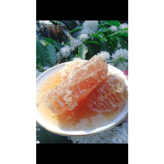 1 LÍT Mật ong nguyên chất -100% mật ong hoa cà phê tự nhiên- Dinh dưỡng cao giúp tăng sức đề kháng mùa dịch