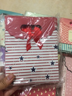 Sỉ 10 Túi đựng quà loại đẹp tặng, mỹ phẩm ( Size 6: 16.5x12.5x6 cm) - SP000918