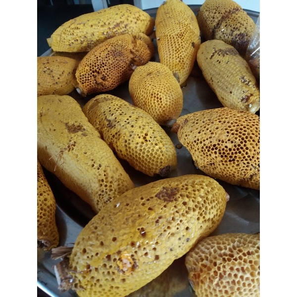Mật ong ruồi nguyên tổ được người đồng bào Đăk Lăk đi rừng săn bắt