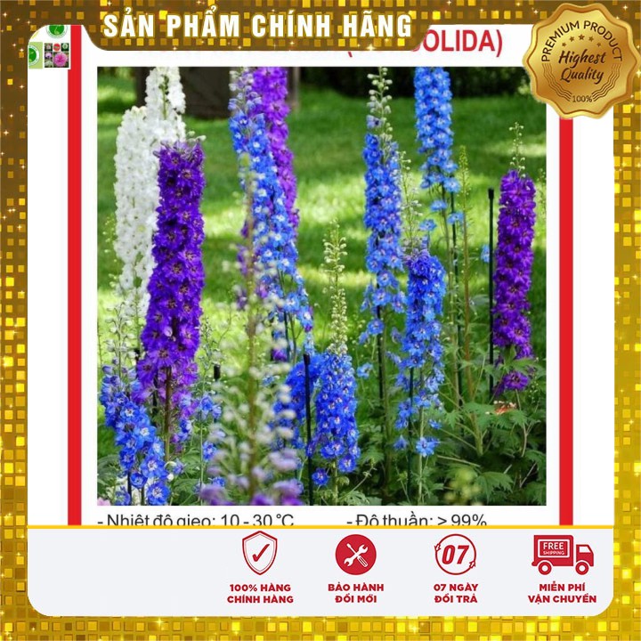 Hạt Giống Hoa Phi Yến Mix 100 Hạt