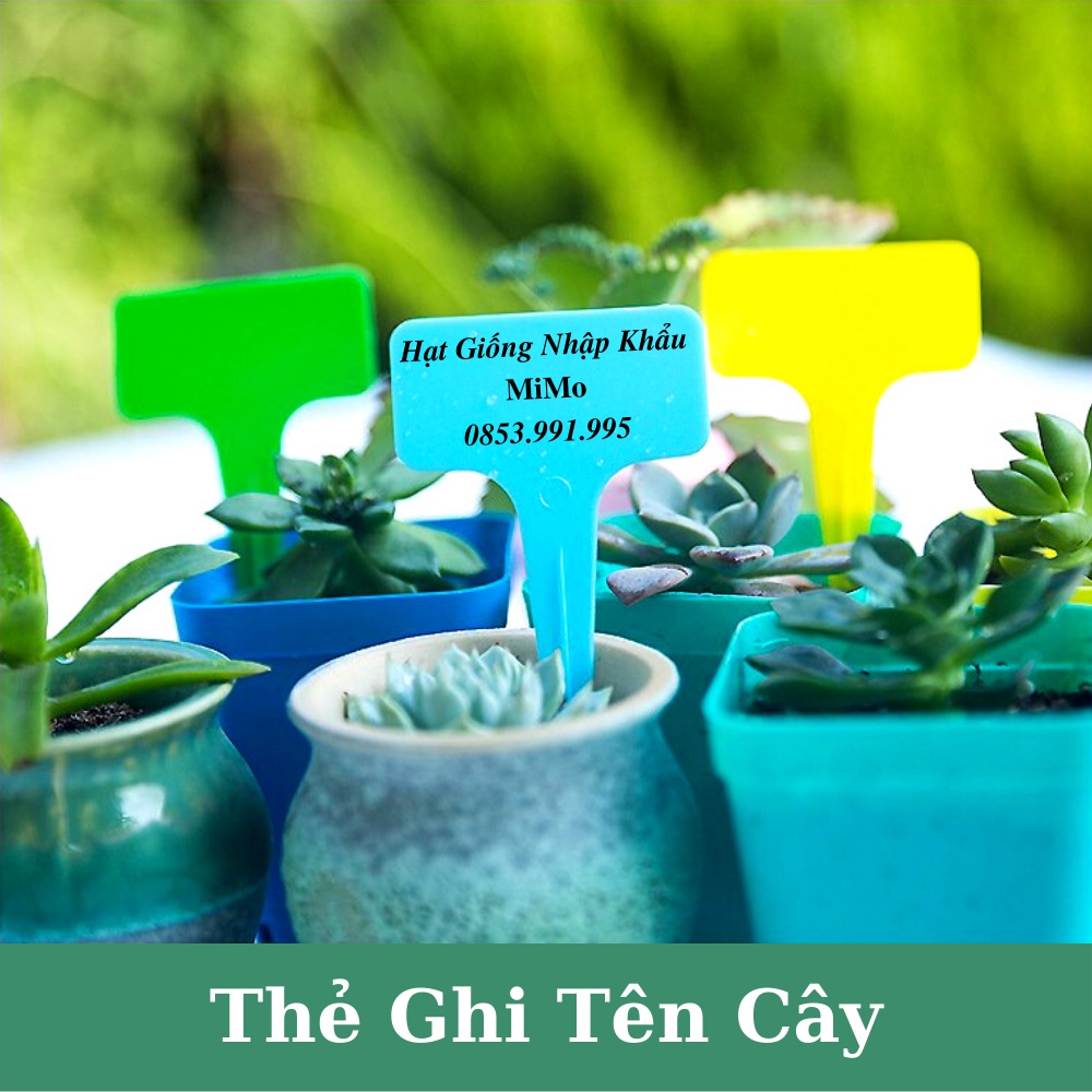 Thẻ ghi tên cây trồng - Đánh dấu thông tin và trang trí cây trồng, decor sân vườn