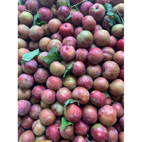 Bao ngon,sò khóm,ốc quế,da heo và nhiều món ngon