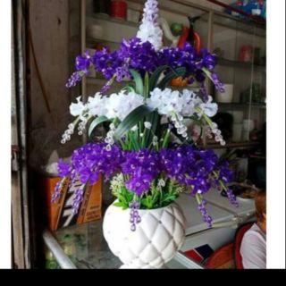 Combo nguyên liệu tự làm chậu hoa lan 25 cành, không gồm chậu cắm hoa