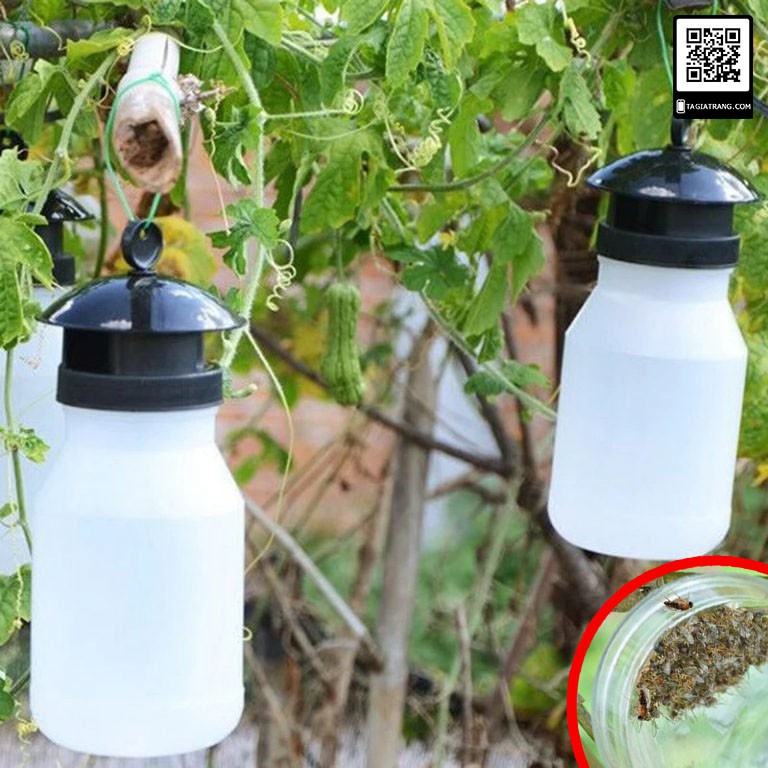 Bình bẫy Ruồi vàng, bẫy ong, côn trùng chích hút hoa quả BR1K
