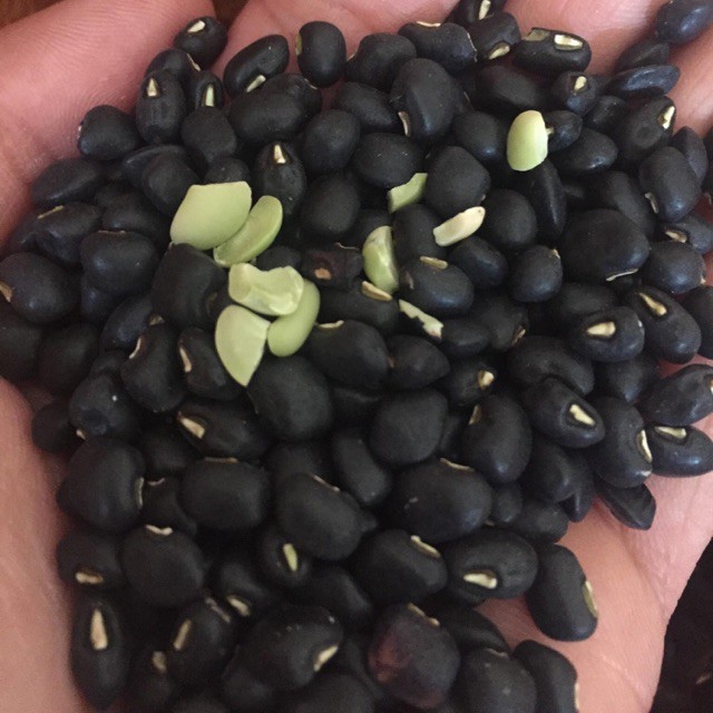 Đậu đen xanh lòng , hữu cơ, loại hạt nhỏ, Đậu quê 500g