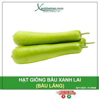 Hạt giống bầu lai king f1 phú nông gói 1 gram
