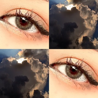 Lens xám Mistic Gray 0 độ nhập khẩu Hàn Quốc chính hãng - VF Lens