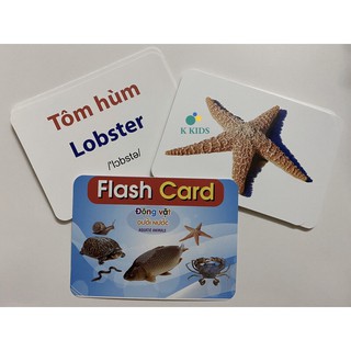 Thẻ Học Thông Minh Flash Card Chủ Đề ĐV Dưới Nước🐠🐠