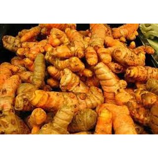 Củ nghệ cái đóng gói 500gr
