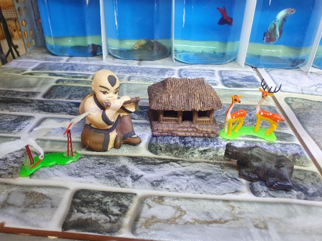 COMBO TRANG TRÍ HỒ CÁ NON BỘ SIZE 6CM 117K