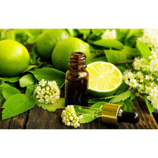 Tinh dầu thơm phòng ⚜ FREESHIP ⚜Tinh dầu thiên nhiên 8ml | 50ml | 100ml  nguyên chất nhập khẩu và trong nước