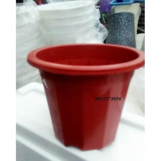 Chậu nhựa nâu trồng cây ( Rộng trên 18cm x Cao 18cm)
