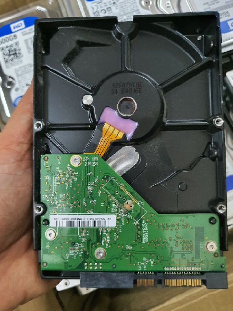 HDD 500G WD tháo máy Đồng Bộ BH 12 tháng | BigBuy360 - bigbuy360.vn