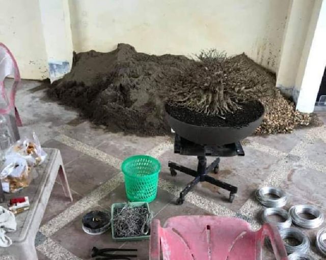 Miếng lót lỗ chậu giúp thoát nước tốt ko úng rễ.