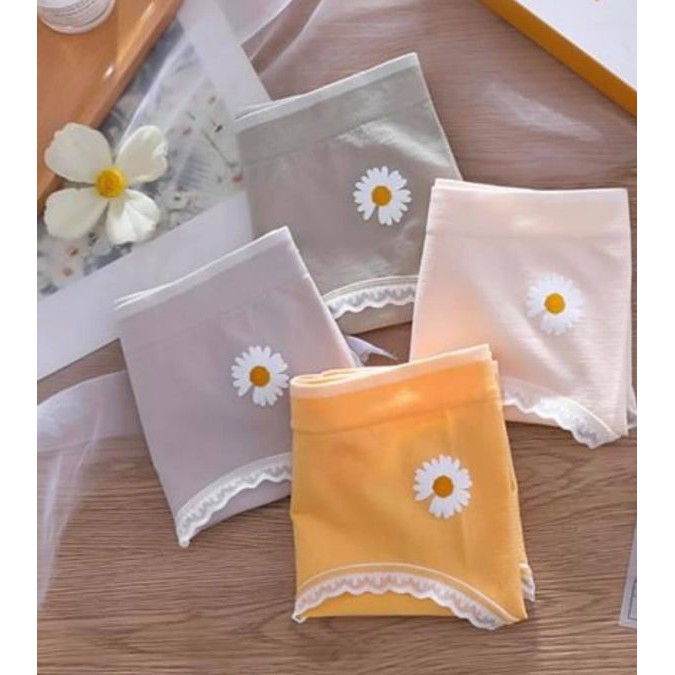 Sét 4 quần lót nữ cao cấp kèm hộp đựng sang trọng, chất liệu cotton mềm mại thông thoáng SALE KHỦNG