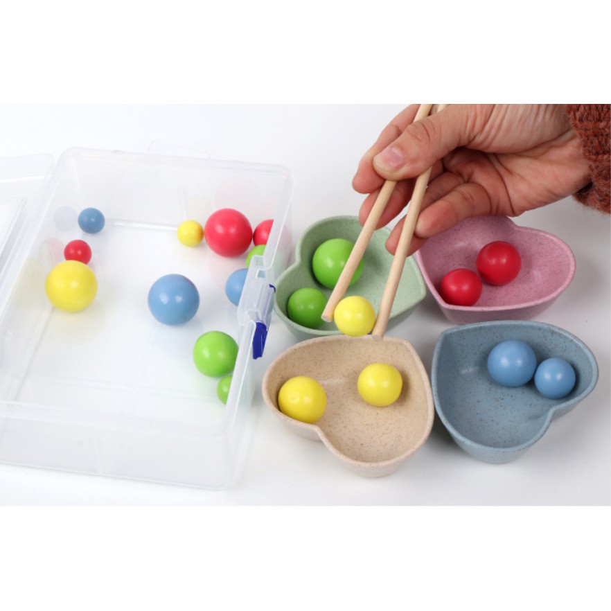 Đồ Chơi Gắp Bi Gỗ- Giáo Cụ Montessori Luyện Vận Động Tinh Cho Bé