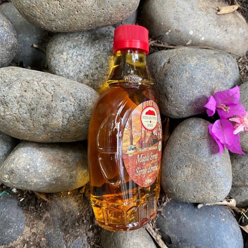 [Mã GROSALE2703 giảm 8% đơn 250K] SI RÔ HỮU CƠ LÁ PHONG - ORGANIC MAPLE SYRUP 250ml - echo mountain maple