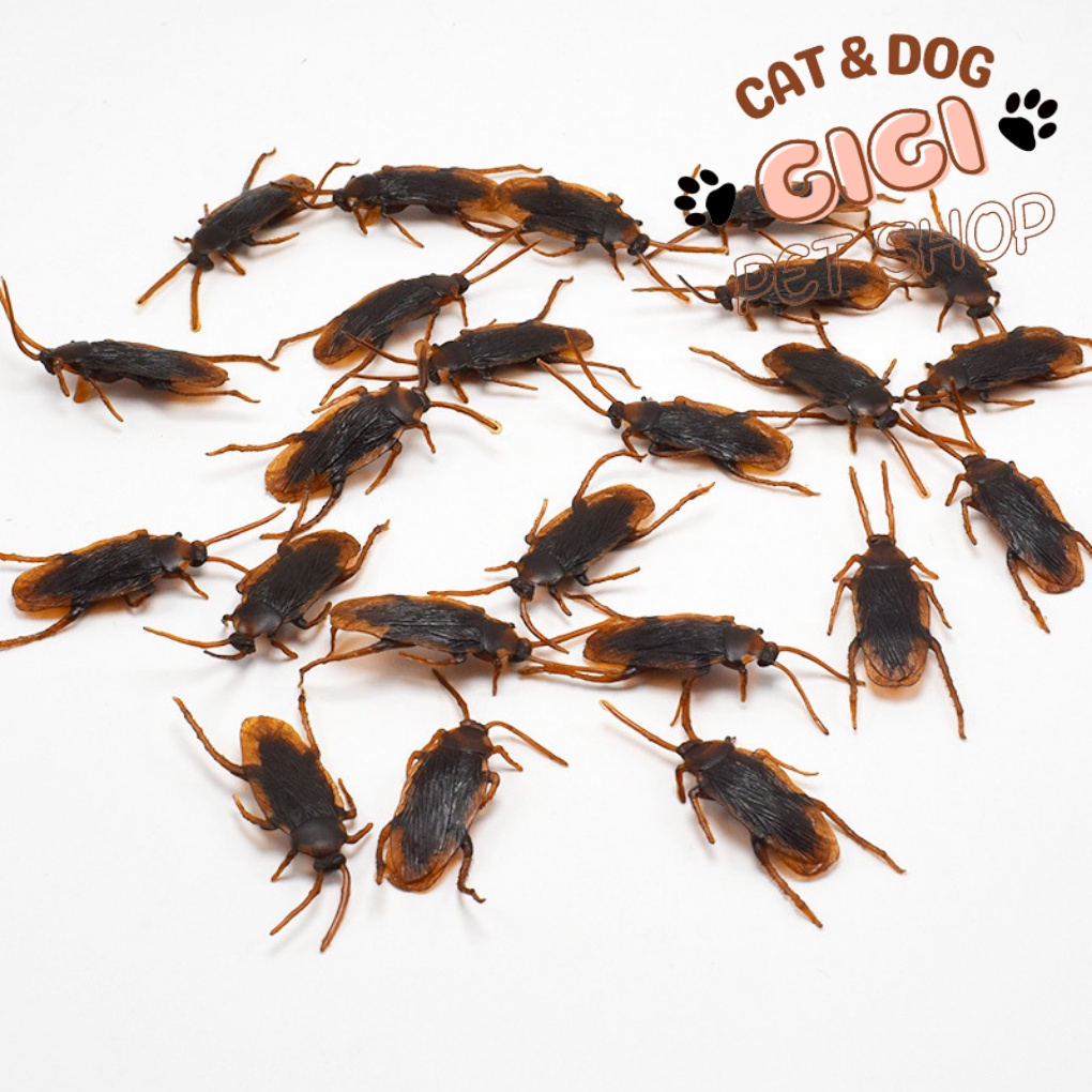 Gián đồ chơi cho thú cưng chó mèo giả trí phụ kiện được mô phỏng như thật - GiGi Pet Shop