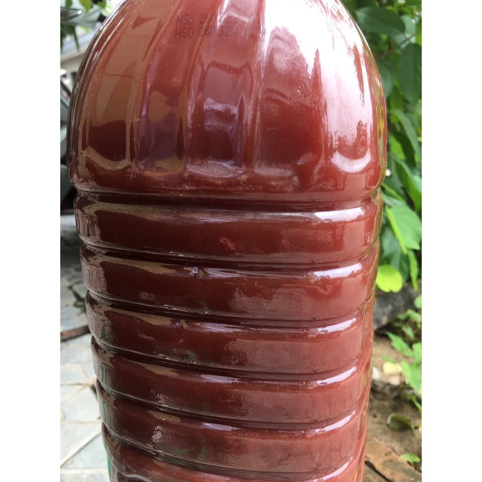 5 lít Men vi sinh PSB+làm trong nước bể cá cảnh,hồ cá KOI.