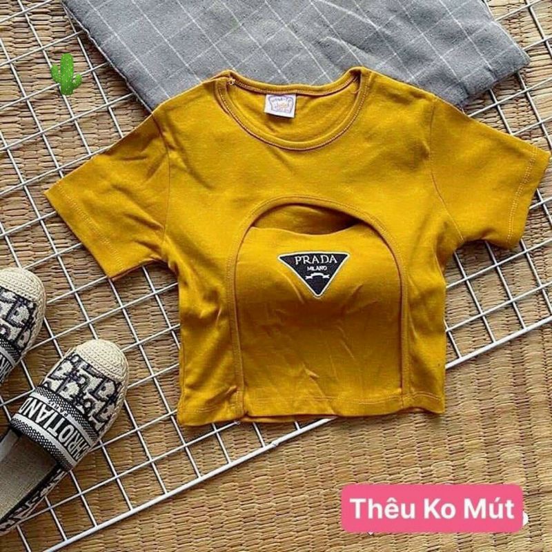 🅰️Áo thun nữ tay ngắn kiểu áo croptop cổ tròn trơn, logo thêu , chất vải thun gân cho nàng <50kg