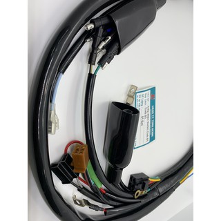 DÂY ĐIỆN SƯỜN CHO CÁC DÒNG XE(1 BỘ)