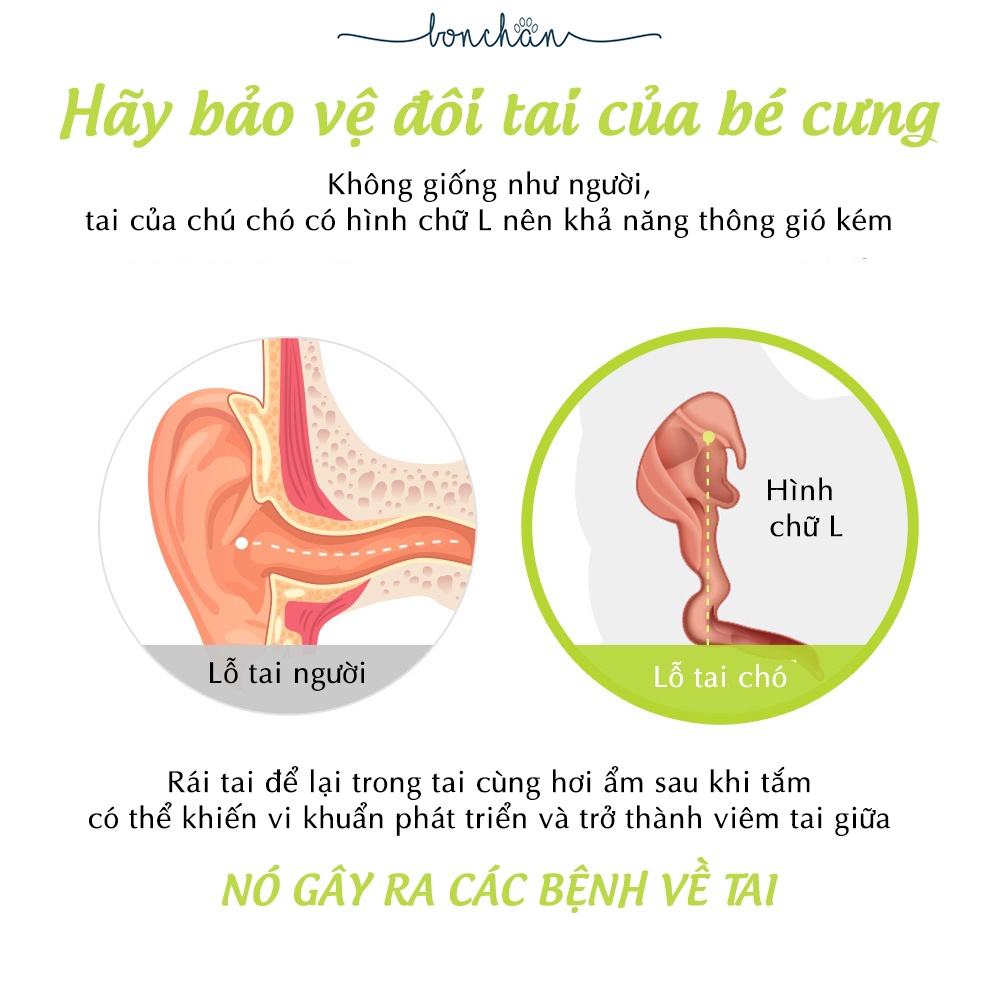 Vệ sinh tai cho chó - Dung dịch vệ sinh tai Forcans Good Ear 100ml