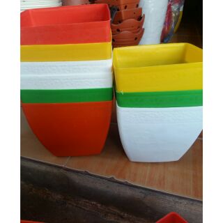 Chậu vuông 20cm trồng cây hoa siêu đẹp