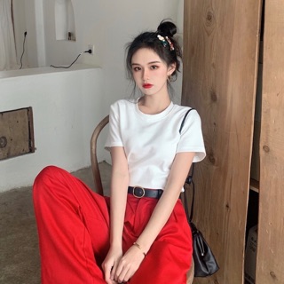 ORDER ÁO THUN TRƠN BASIC