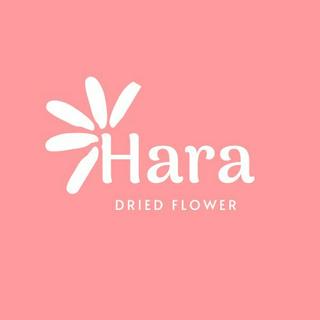 Hoa khô Hara