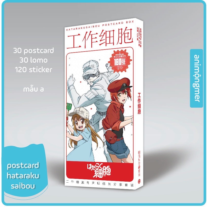 Postcard hataraku saibou