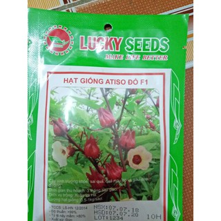 Hạt giống atiso đỏ f1