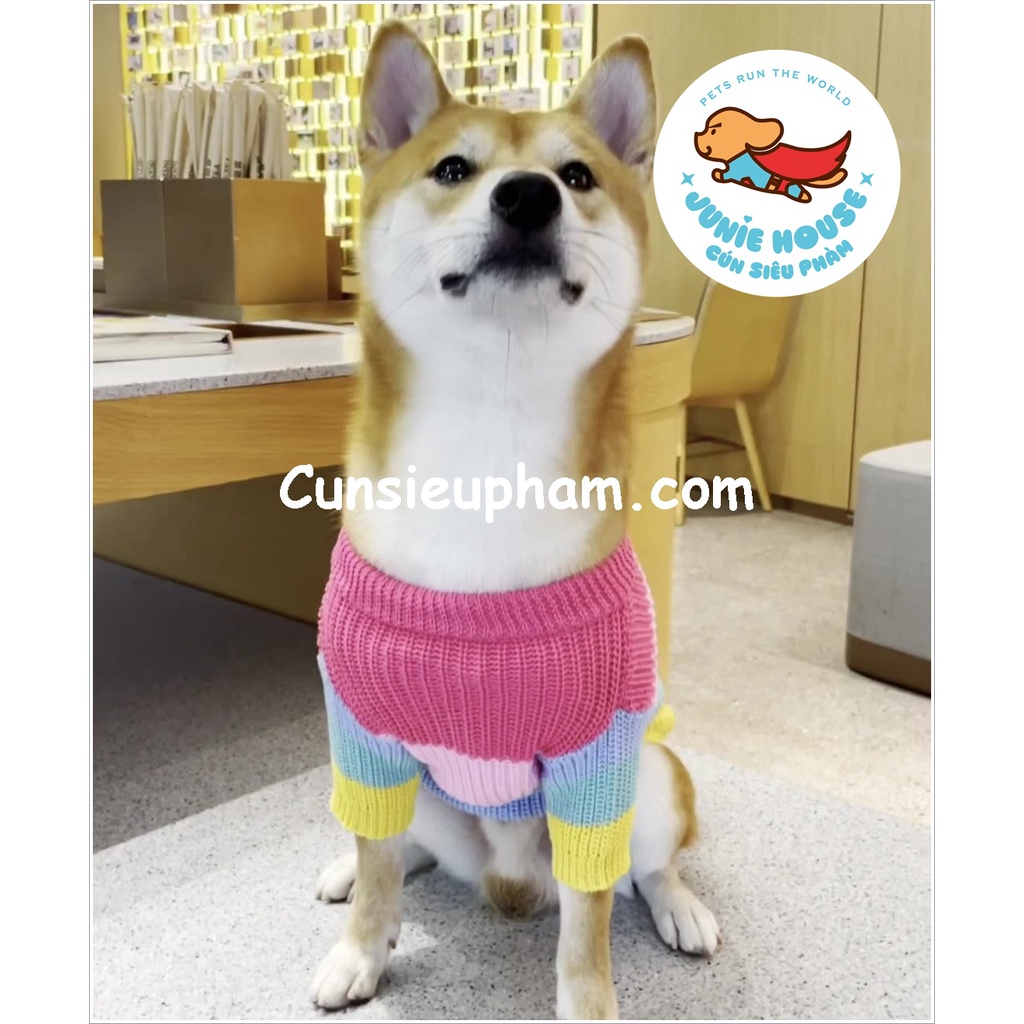 Áo len Tết 7 màu xinh xắn cho chó lớn
