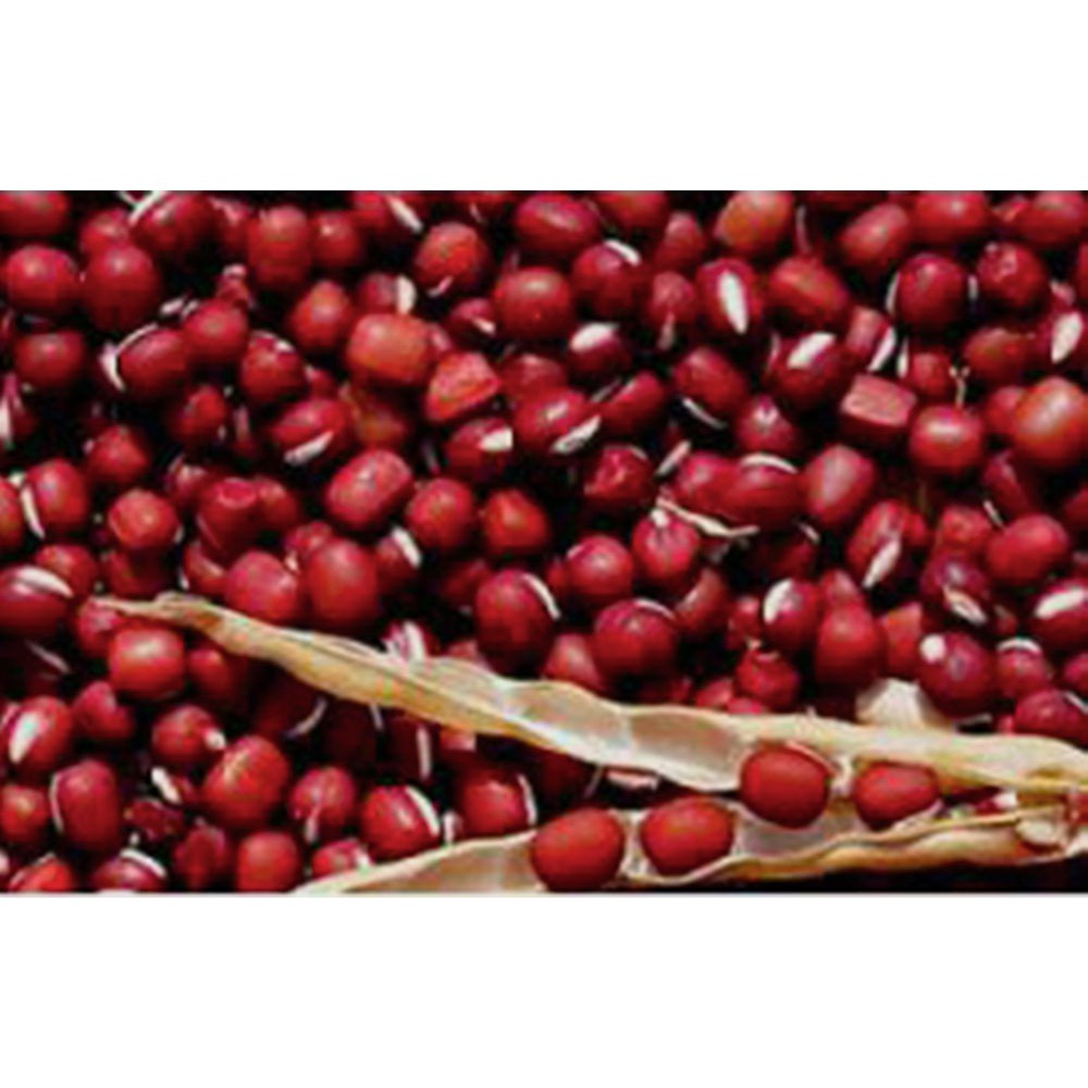 Đậu đỏ hạt nhỏ,nhà trồng bao sạch bịt 1kg