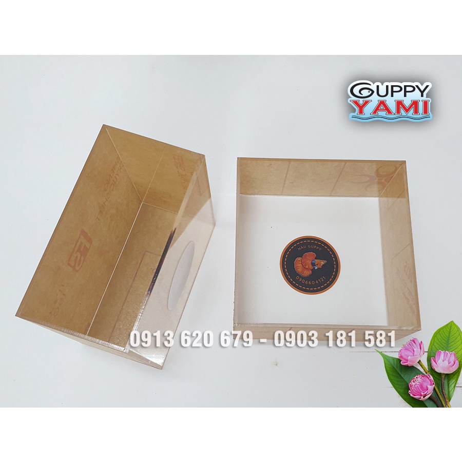 In Hồ Show Cá Siêu Trong Theo Yêu Cầu - Nhanh - Giá Cạnh Tranh - Màu Đẹp