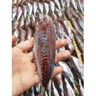 CÁ NỤC LỘT DA 1 NẮNG khay 500g