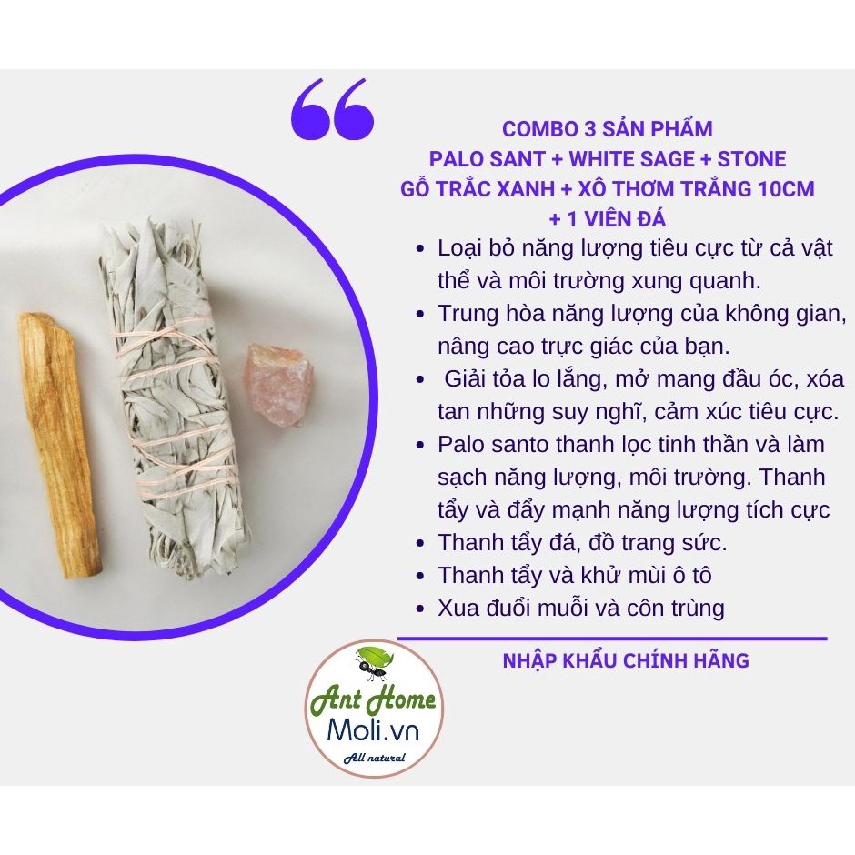 {3 sản phẩm} Palo sato 10cm + 1 bó xô thơm 10cm tặng 1 viên đá ngẫu nhiên