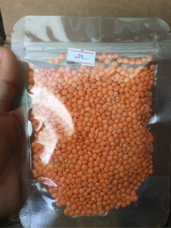 Combo các loại hạt