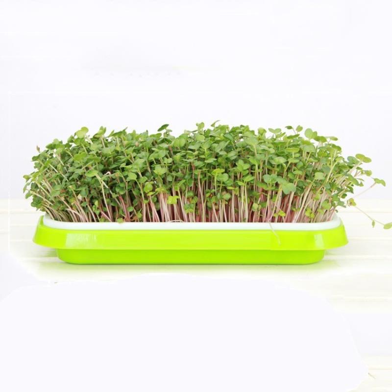 Bộ kit Khay trồng rau mầm thủy canh chuyên dụng TKM-3.3, Khay, Giá đỡ, Vòi xịt, Hạt giống